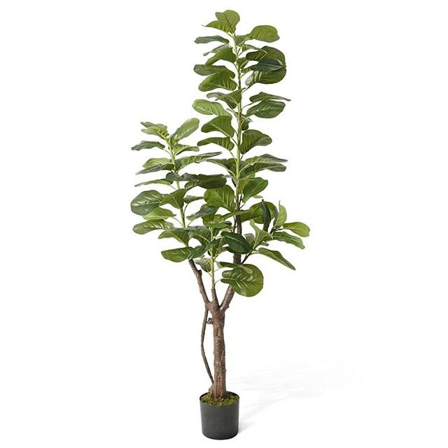 CAPHAUS Artificial Fiddle Leaf Fig Tree, 6 / 7 Feet in Pot with Dried Moss, for Indoor House Home Office Store, Potted Ficus Lyrata Faux Tree, Fake Plant Modern Decoration Gift for Housewarming