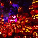Jack-O-Lantern Spectacular @ Roger Williams Park Zoo