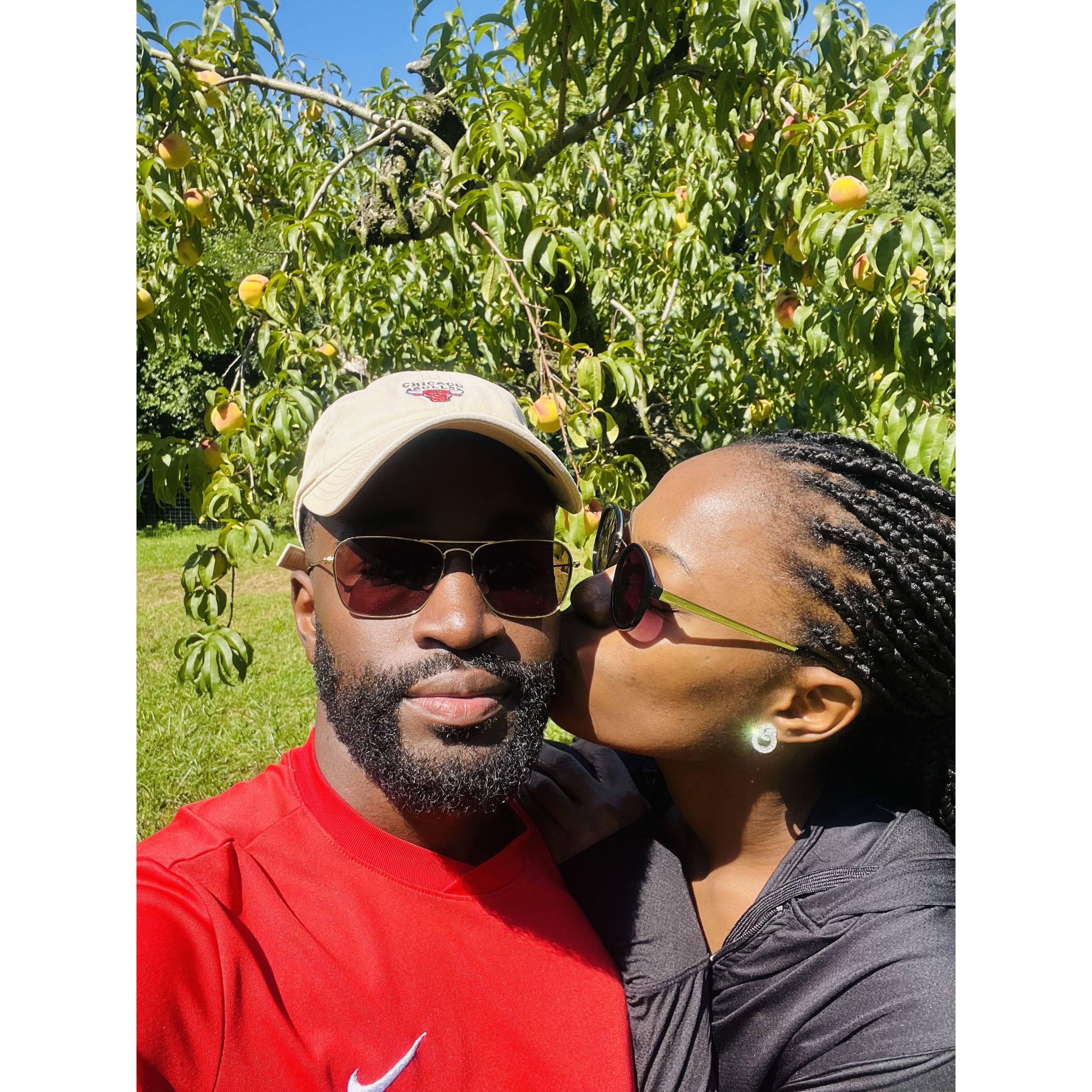 Apple picking date