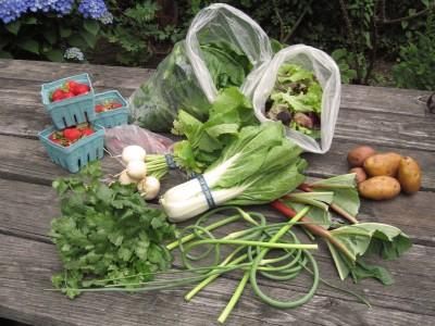 Community Supported Agriculture