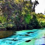 Weeki Wachee Spring