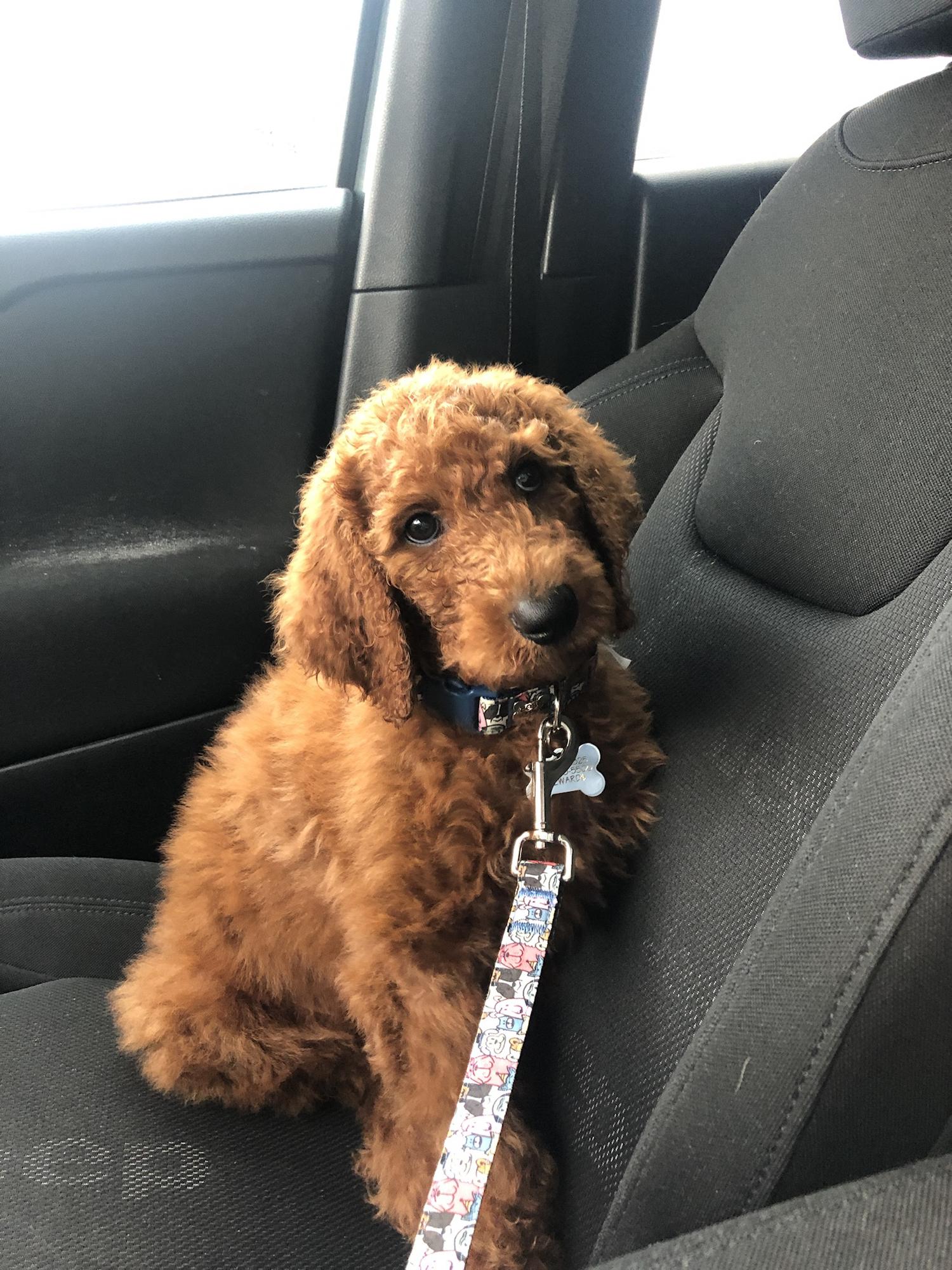 Our first child