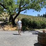 [A couple extra days] Wine Country: Healdsburg, Anderson Valley, Dry Creek, Sonoma