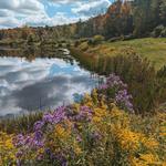Lone Goose Pond