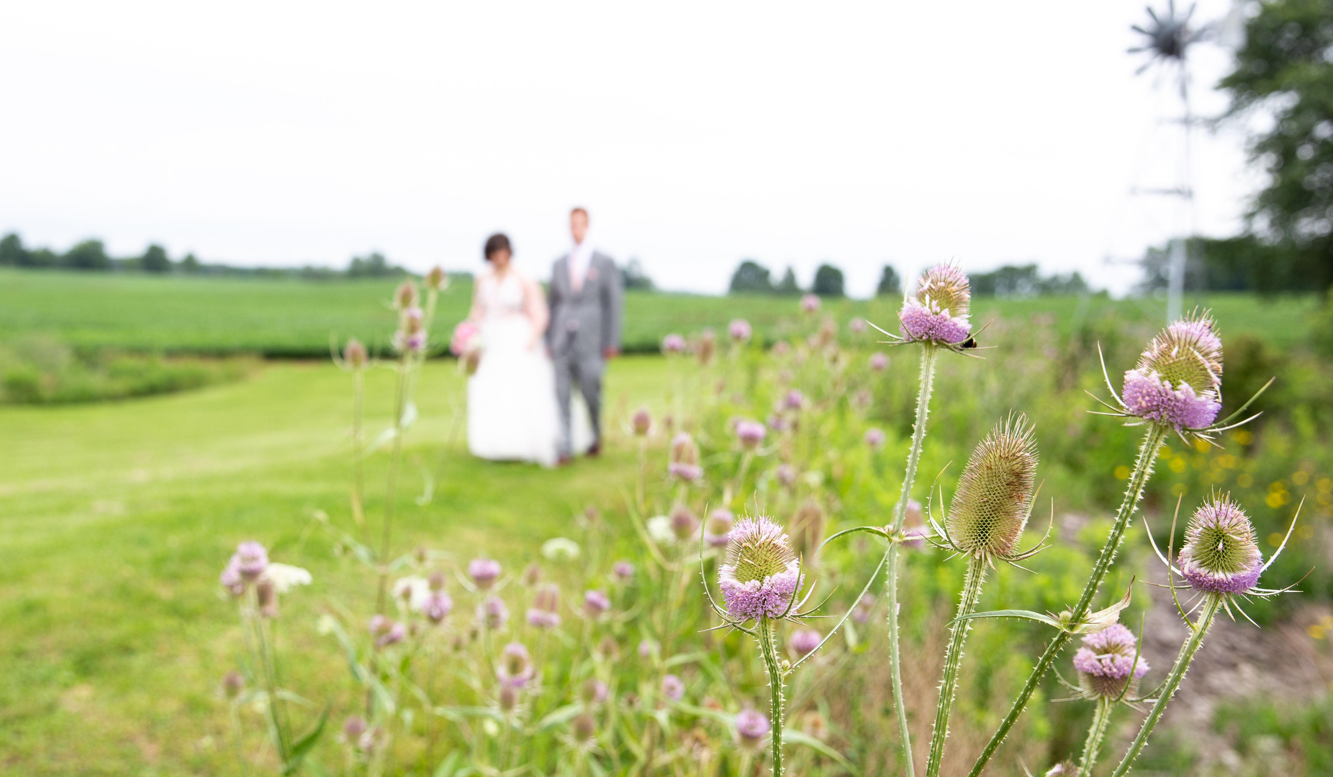 Hero Slideshow Image 1