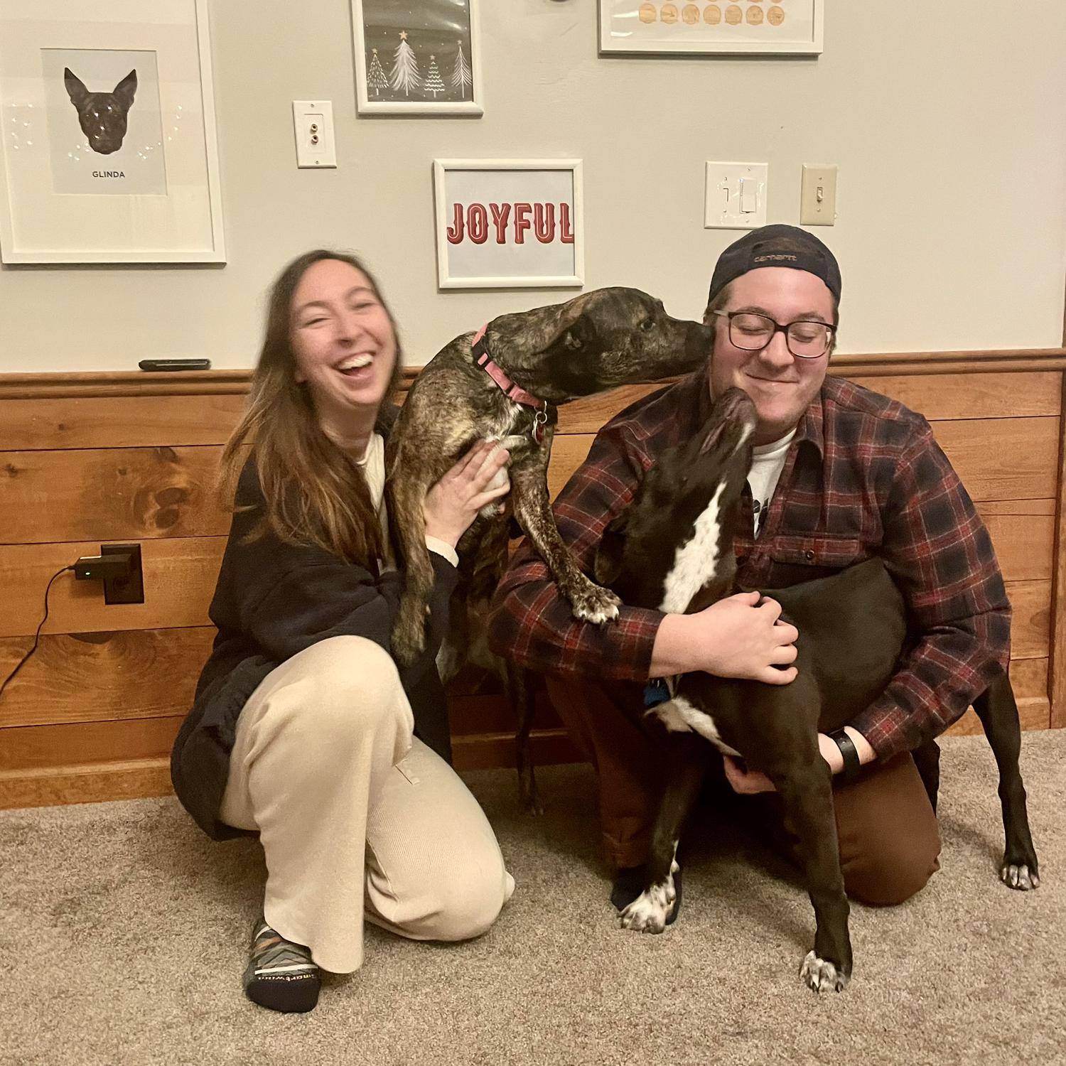 Welcome home Ollie! 🐾