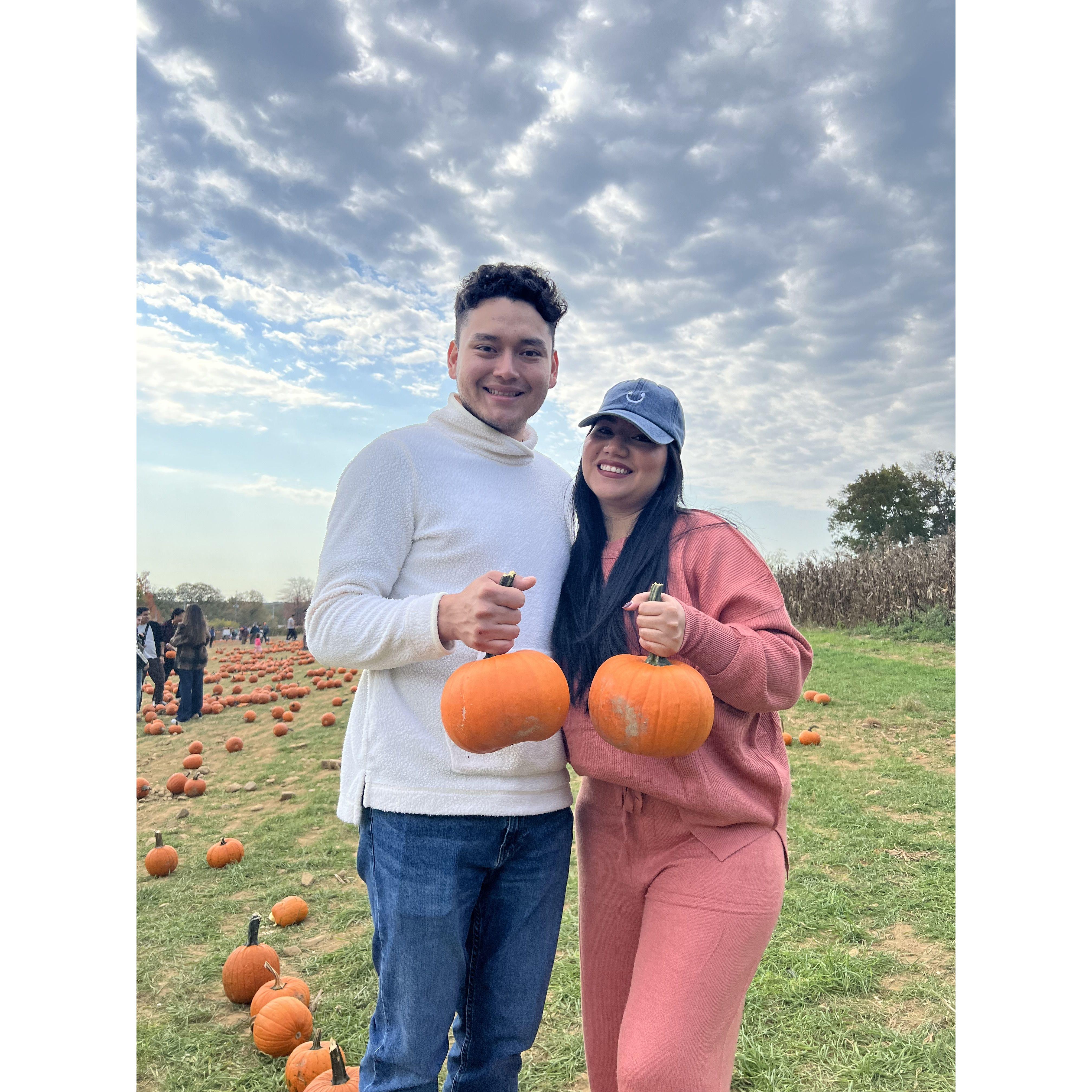 Our first time pumpkin picking!