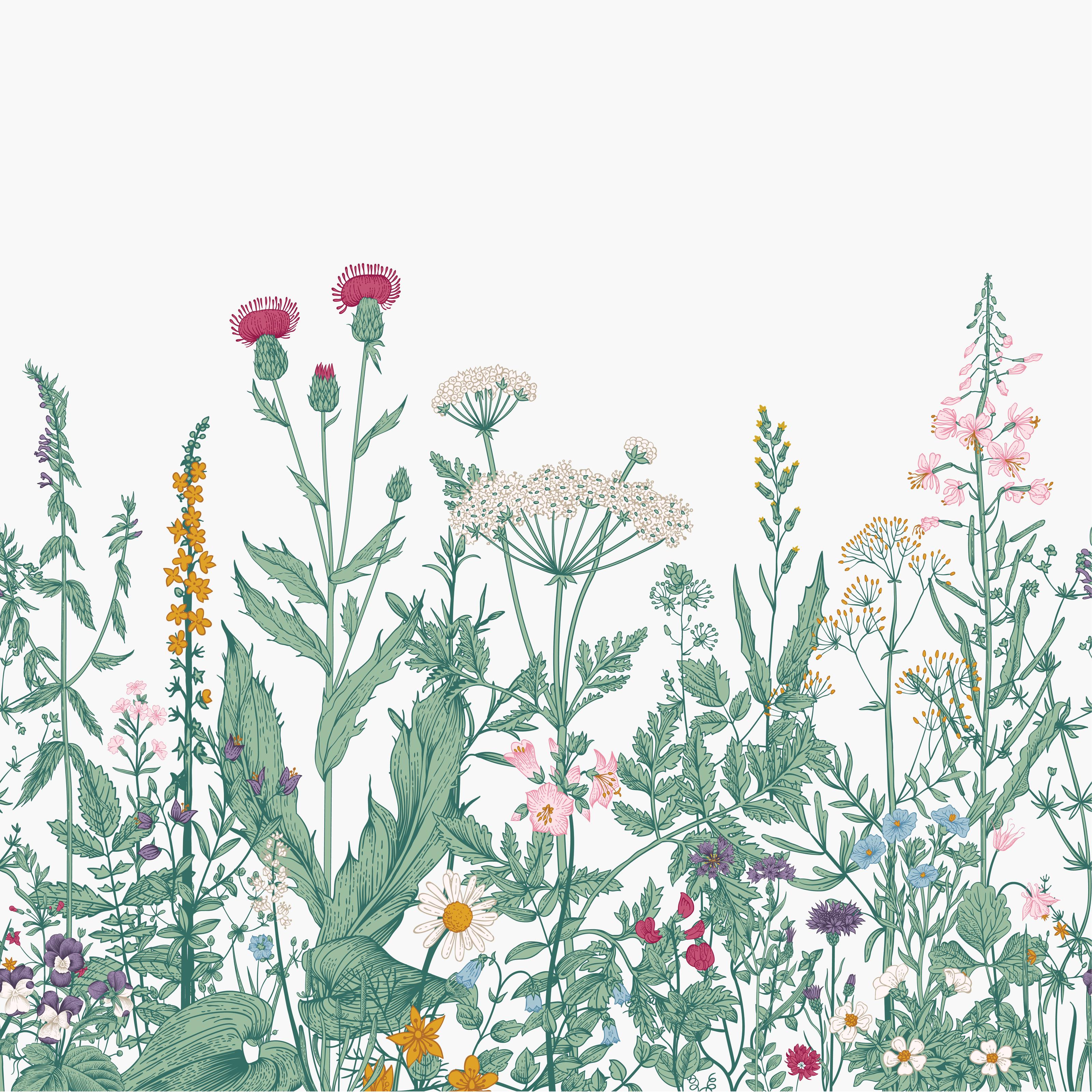 The Wedding Website of Katie Roof and Baris Safoglu