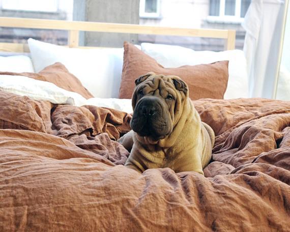Linen duvet cover, Tobacco bedding, Linen bedding, Pure linen duvet, Duvet cover king, Duvet cover queen, Custom linen bedding available