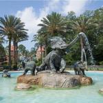 Audubon Zoo