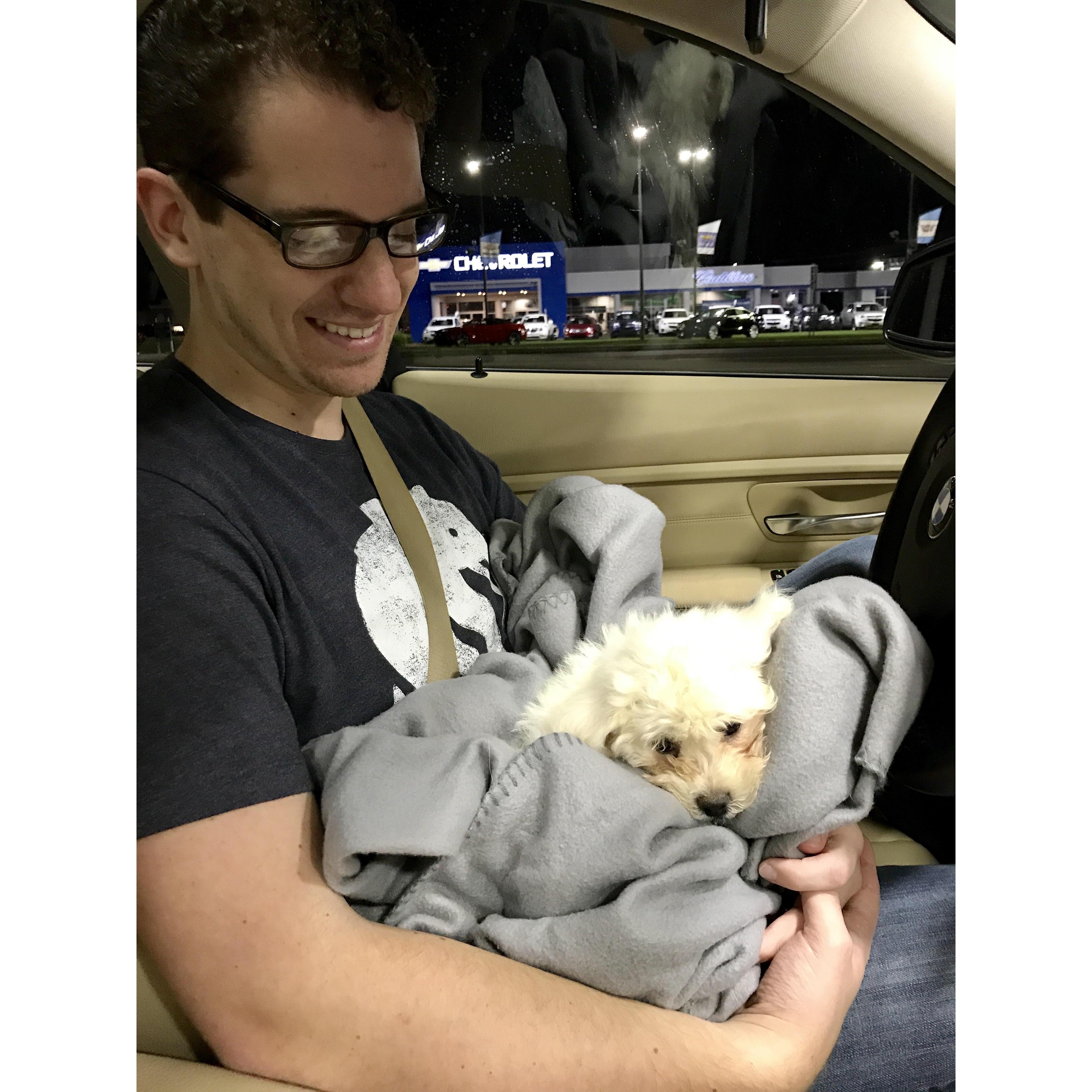 Bringing our Bailey home