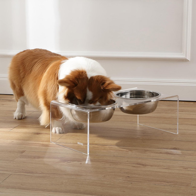 The Licker Store, Keaton Lucite 3-Piece Large Elevated Pet Feeder Set | Zola