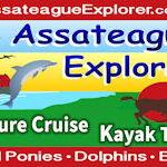 Assateague Explorer Pony Watching Cruise & Kayaking