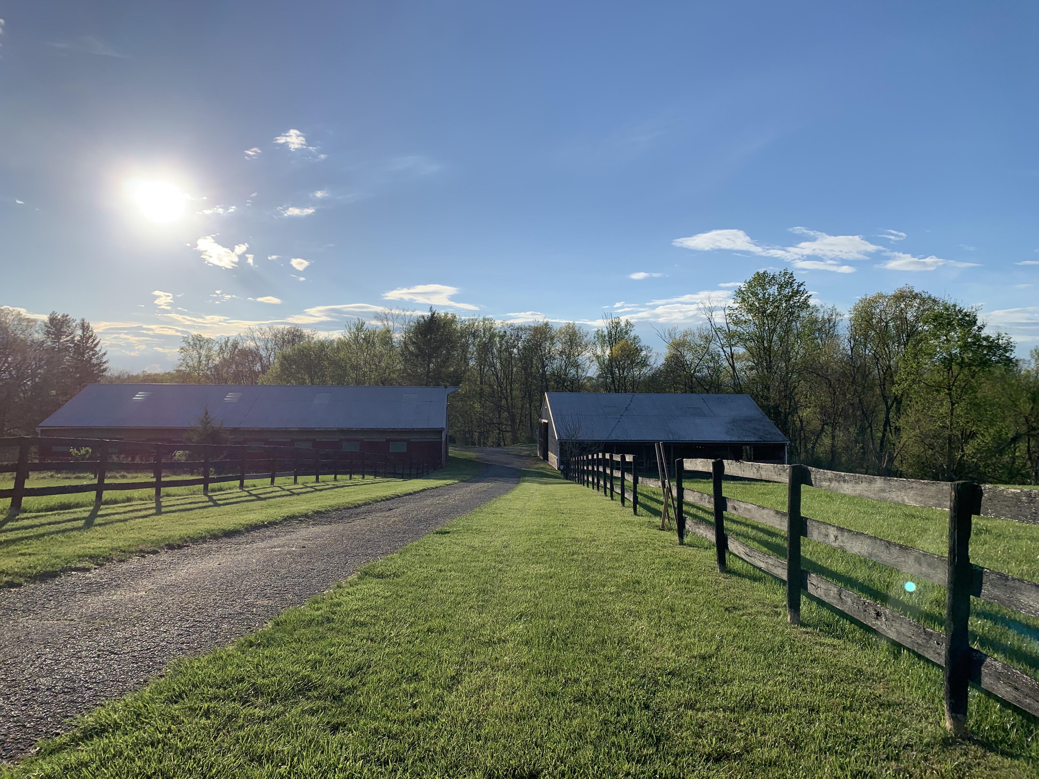 The Wedding Website of Caroline Moody and Kevin Hanauer