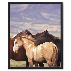 Family Bonds Framed Print