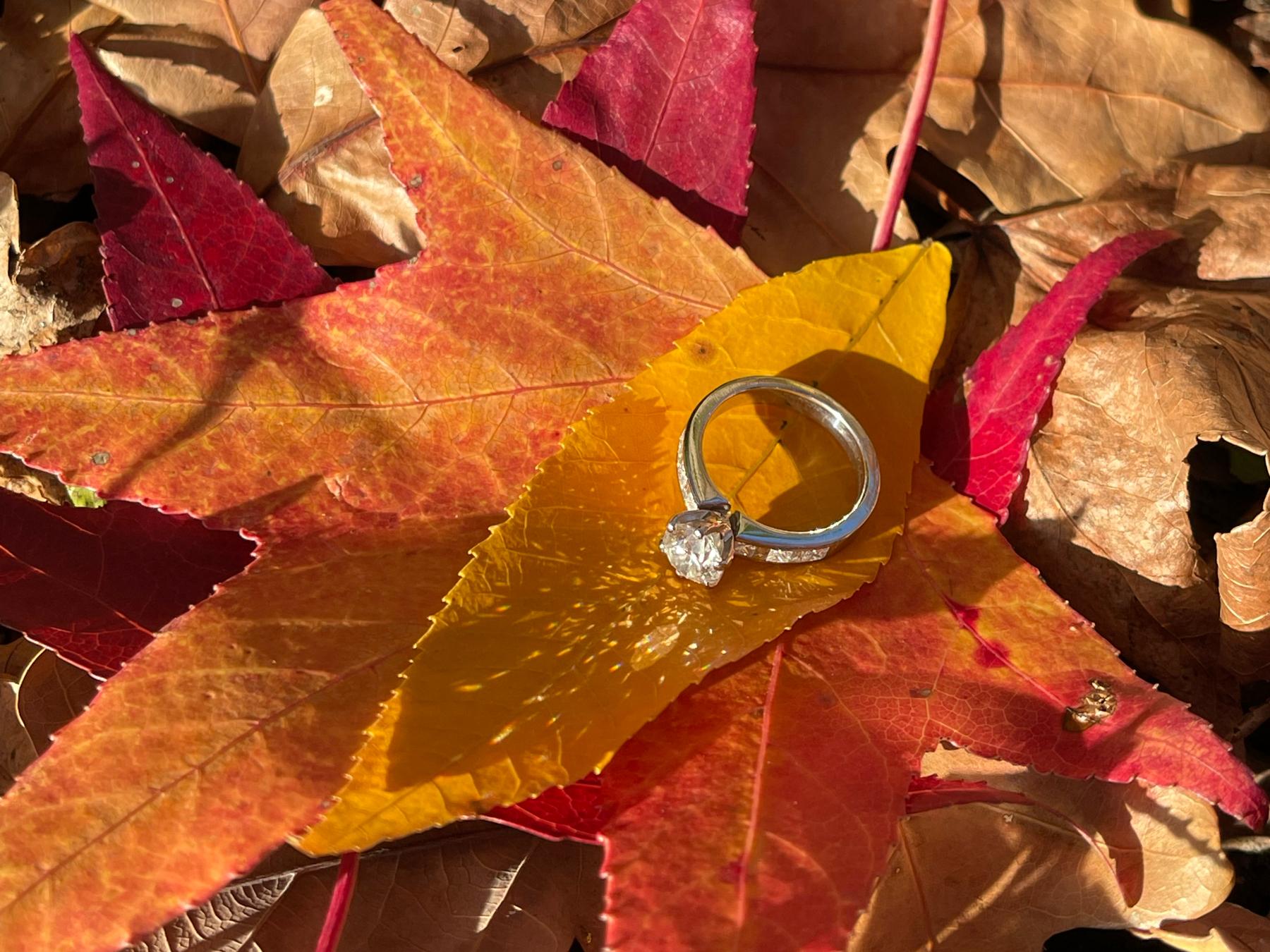 The Wedding Website of Chun-Po Charng and Suiting Cao