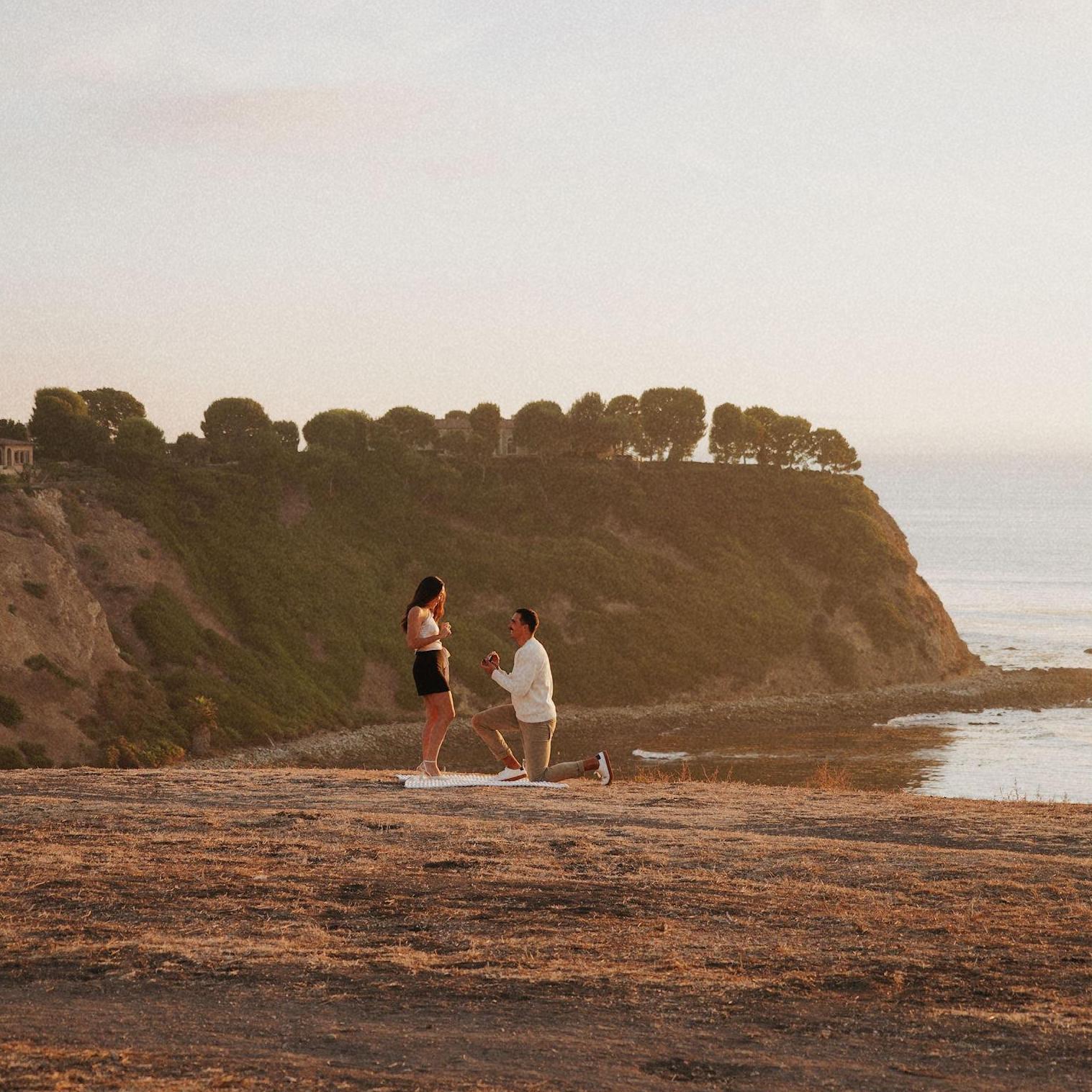 The Proposal