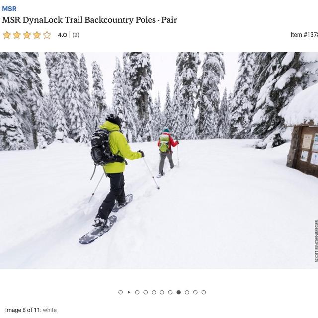 DynaLock Trail Backcountry Poles - Pair