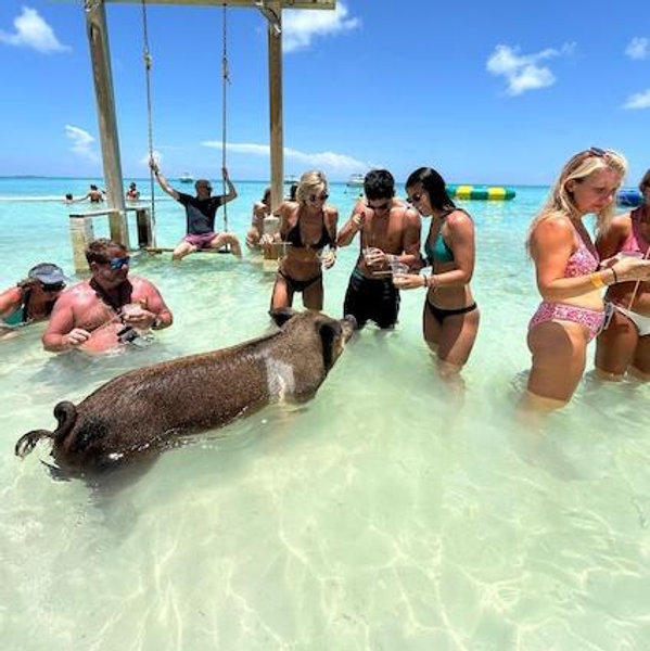 Rose Island Swimming Pigs, Snorkeling Half-Day Tour with Lunch for 2 - Bahamas