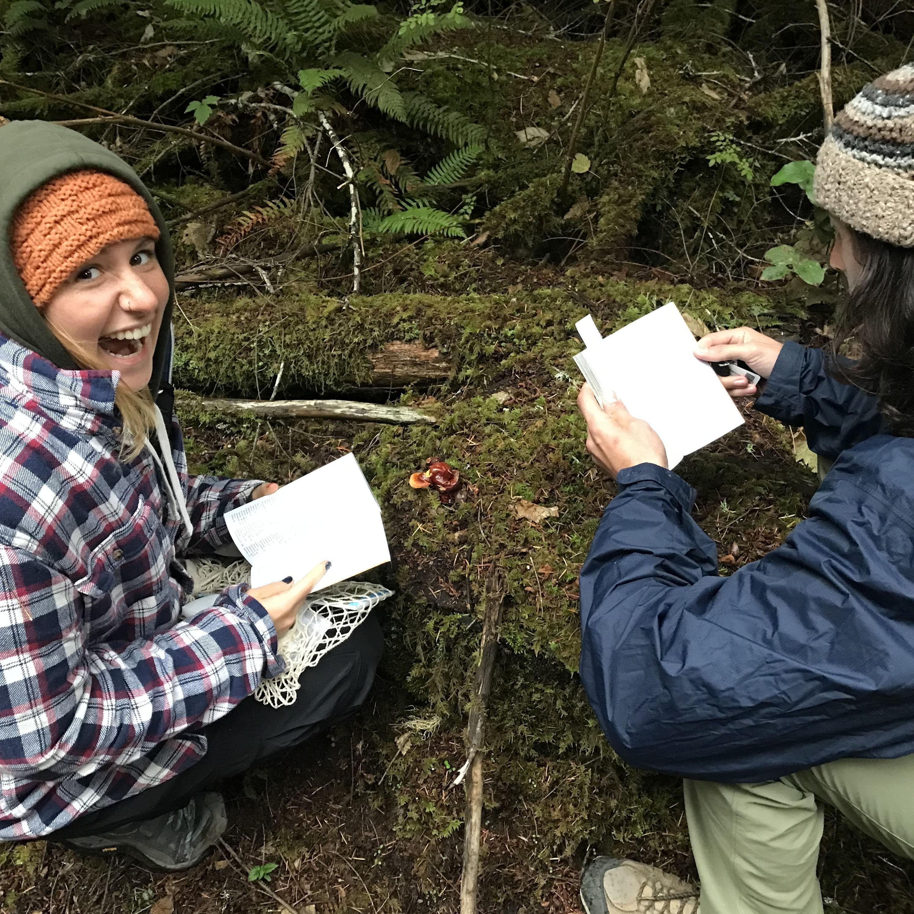 Mushroom identification with Janetta and Drew