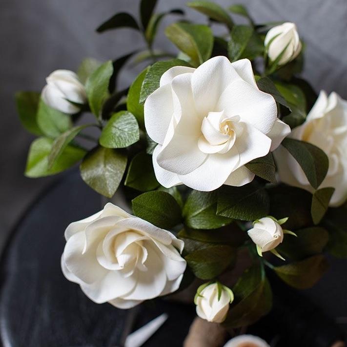 Highcamp Gardenia Vine & Bloom Box