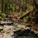 Cougar Hot Springs Trail