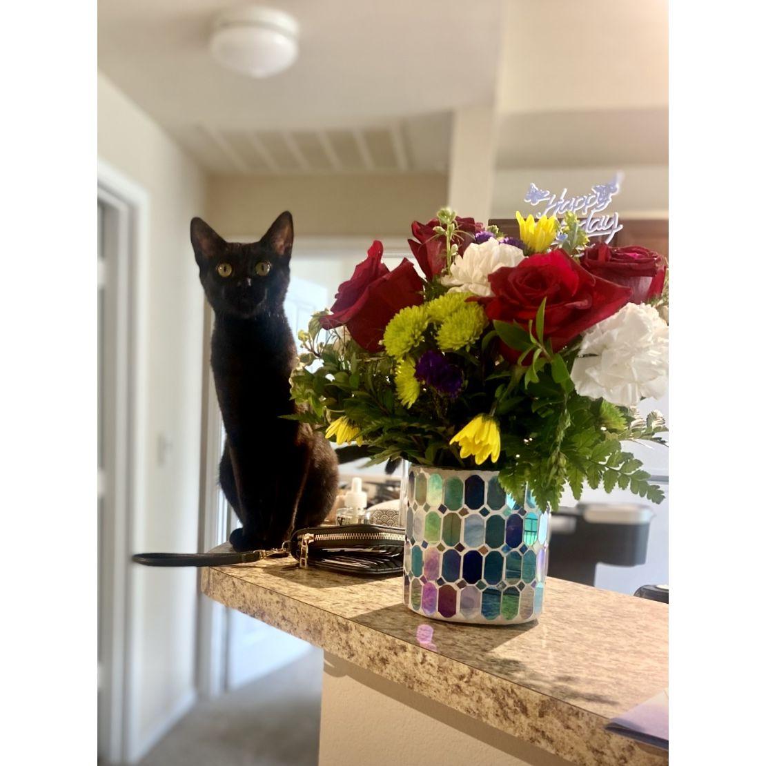 Bean started loving her new home