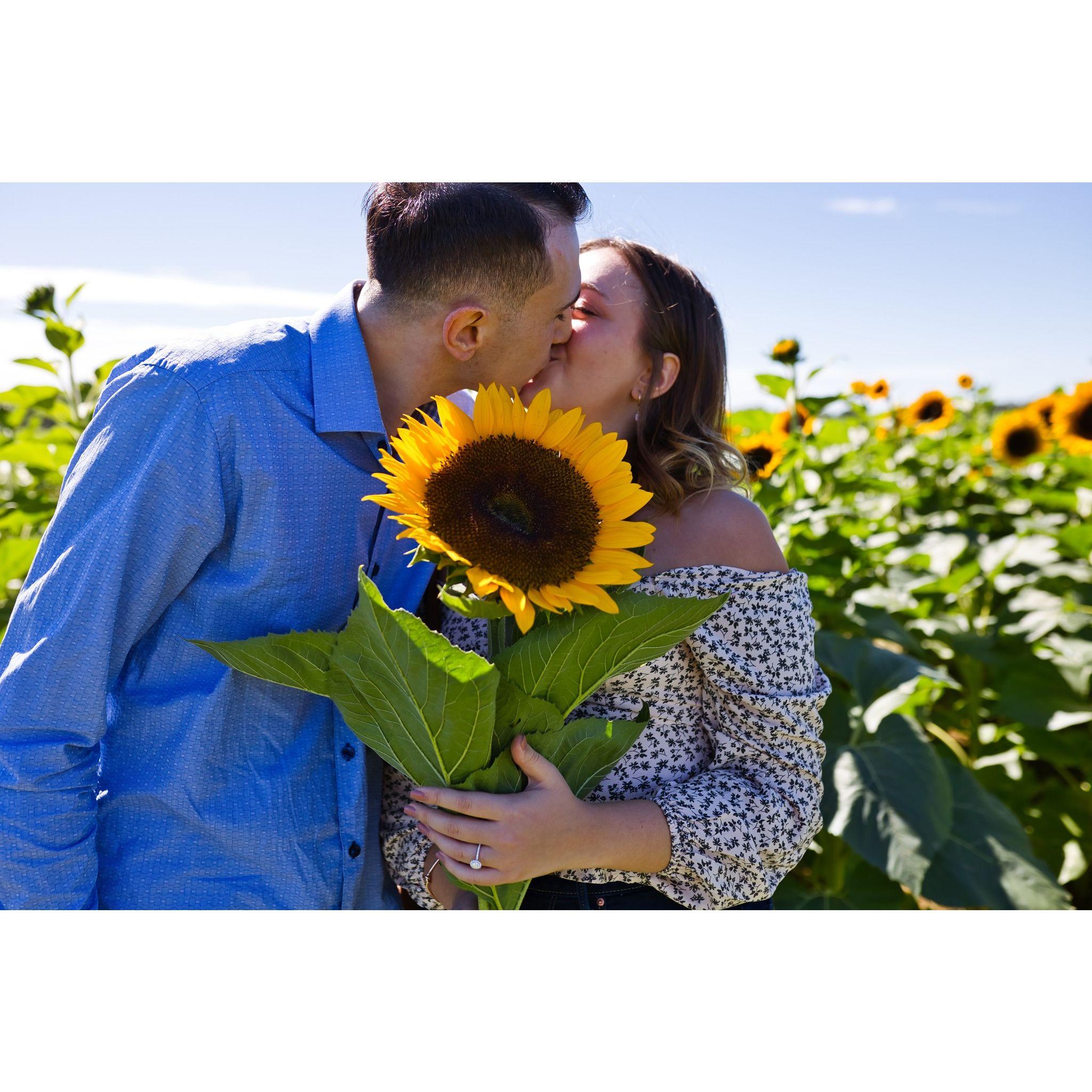 The day we got engaged 09.24.2022