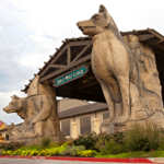 Great Wolf Lodge