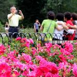 Columbus Park of Roses