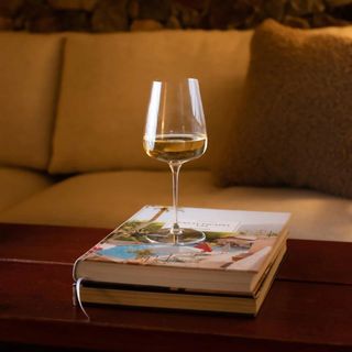 Pro Wine Glass, Set of 4