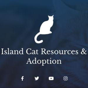 Island Cat Resources and Adoption (ICRA)