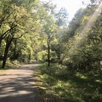 Percy Warner Park