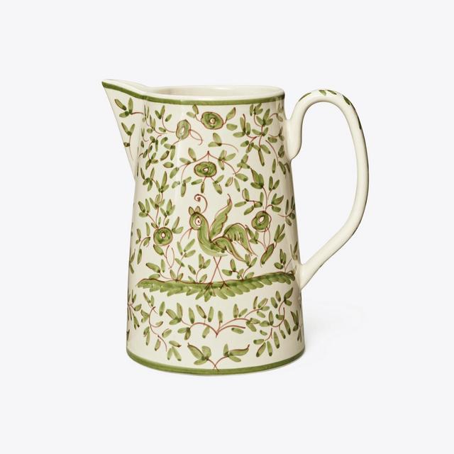 Oiseau Pitcher