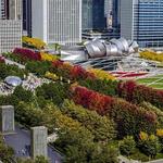 Millennium Park