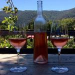 Carmel Wine Tasting