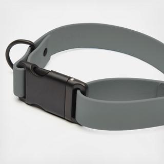Signature Dog Collar