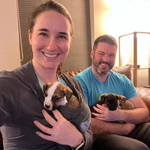 Getting some good cuddles in with our foster puppers