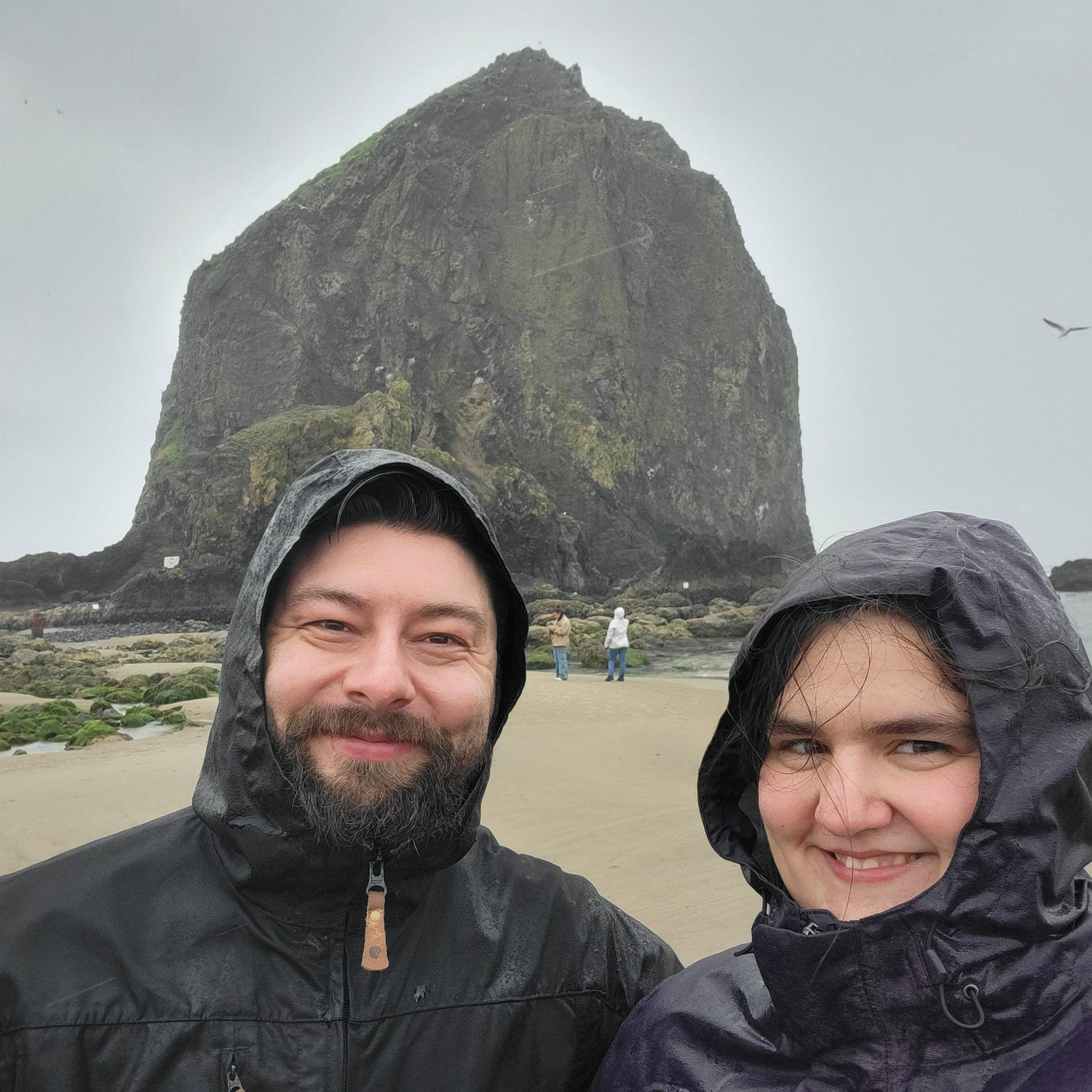 We have never seen more rain than the Oregon Coast