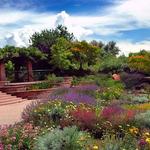 Red Butte Garden