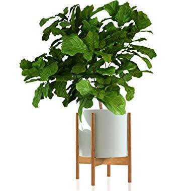 Fox & Fern Mid-Century Modern Plant Stand - Bamboo - EXCLUDING 12" White Ceramic Plant Pot