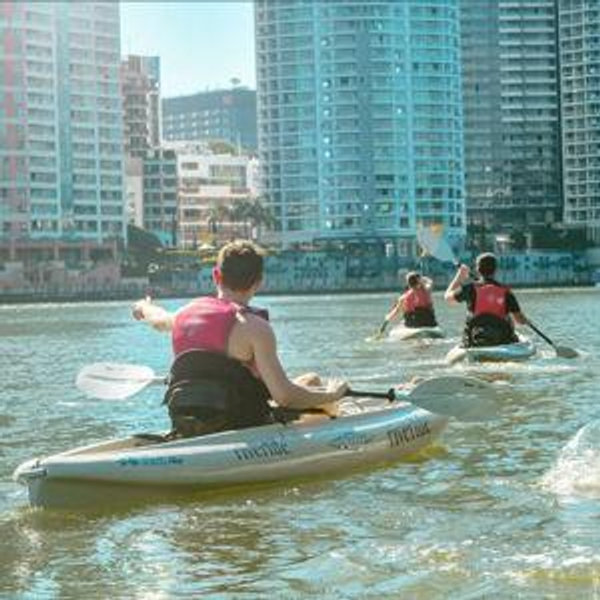 Brisbane Kayak Tour