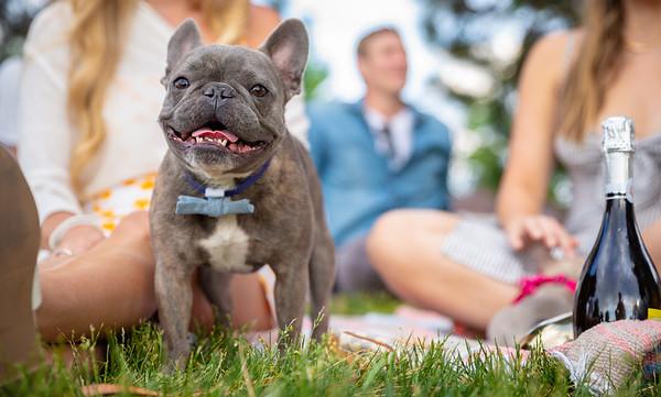 The Wedding Website of Alli Meers and Ben Ross