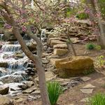 Overland Park Arboretum & Botanical Gardens