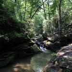 Tucquan Glen & Pyfer Nature Preserves