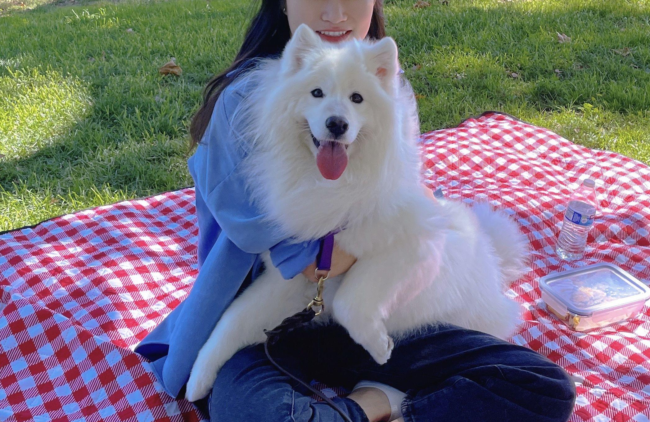 c5507fc2-c781-442c-8733-961920b19a3e