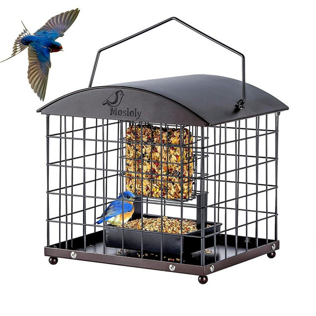 Caged Suet Feeders Squirrel-Proof, Dual-Purpose Suet &Seed Wild Bird Feeders with Tray, Huge Metal Caged Bird Feeders Outdoors Hanging, 2 Suet Cakes+1lb Seed Capacity, Copper