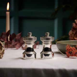 Hoxton Silver Plated Salt & Pepper Gift Set