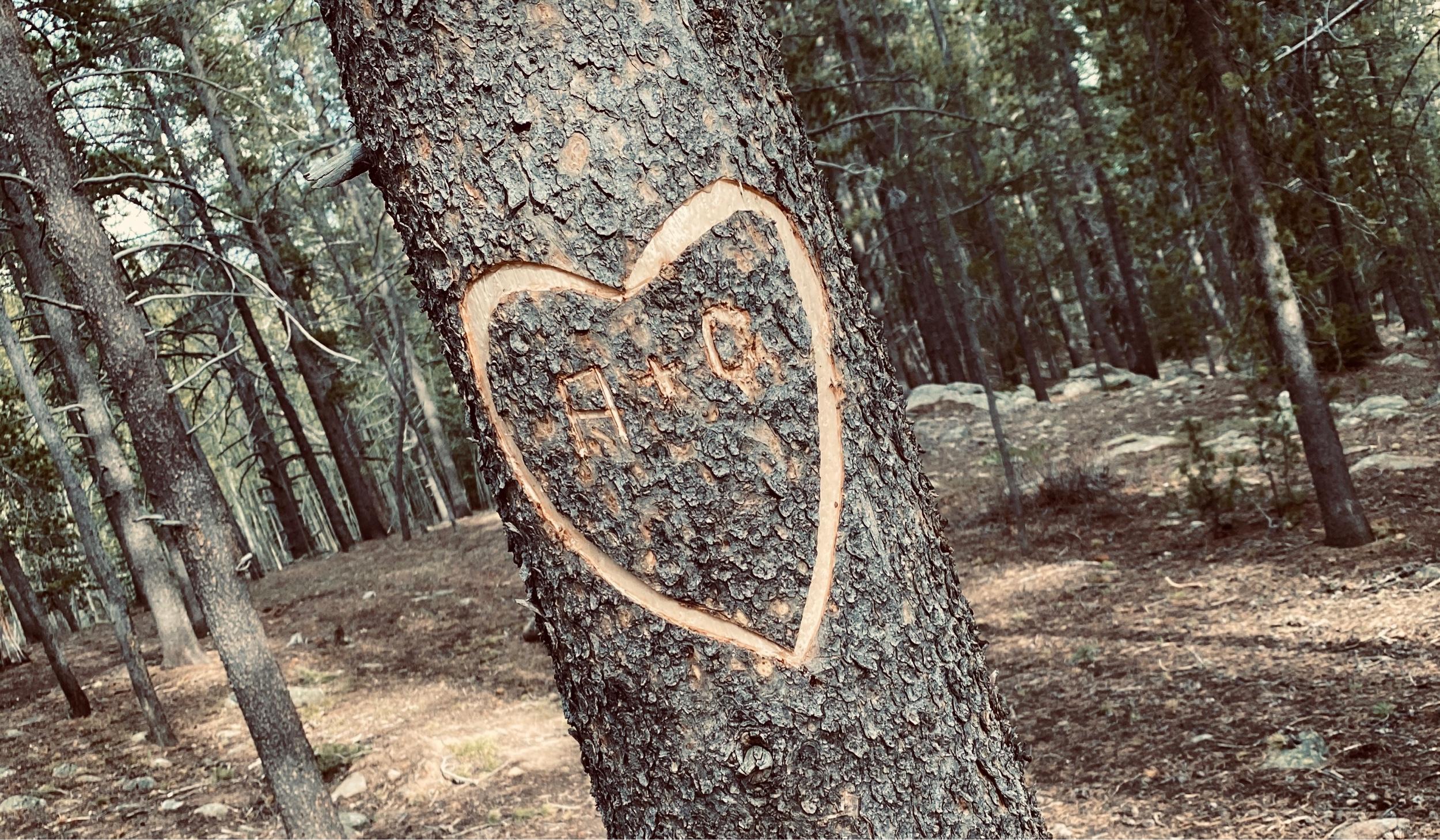 The Wedding Website of Amber Deden and Cody Duffield