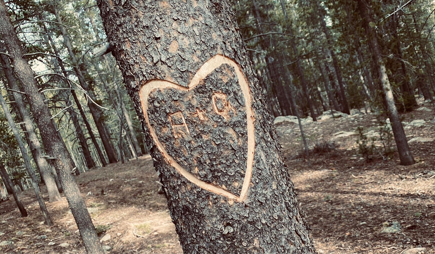 The Wedding Website of Amber Deden and Cody Duffield